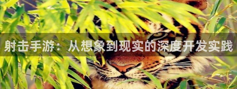 庄闲游戏平台app：射击手游：从想象到现实的深度开发实践