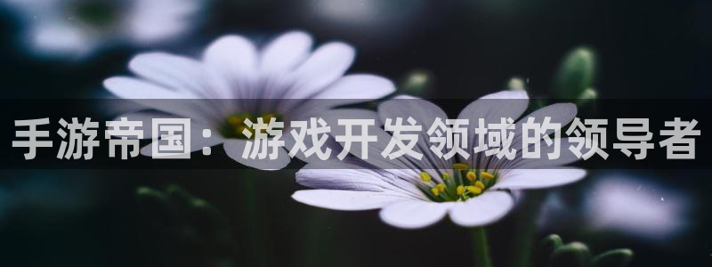 庄闲和网站是多少：手游帝国：游戏开发领域的领导者