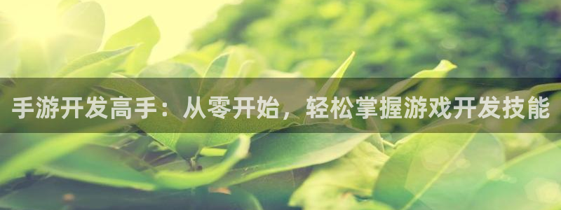 庄闲游戏输赢规则：手游开发高手：从零开始，轻松掌握游戏开发技