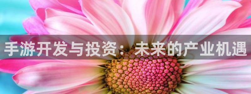 庄闲和游戏的具体规则是什么?：手游开发与投资：未来的产业机遇