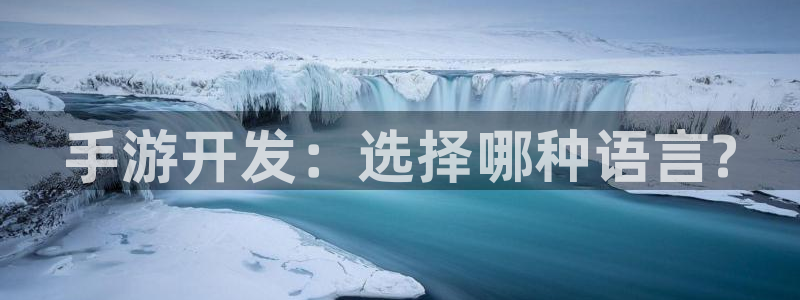 庄闲是什么形状：手游开发：选择哪种语言?