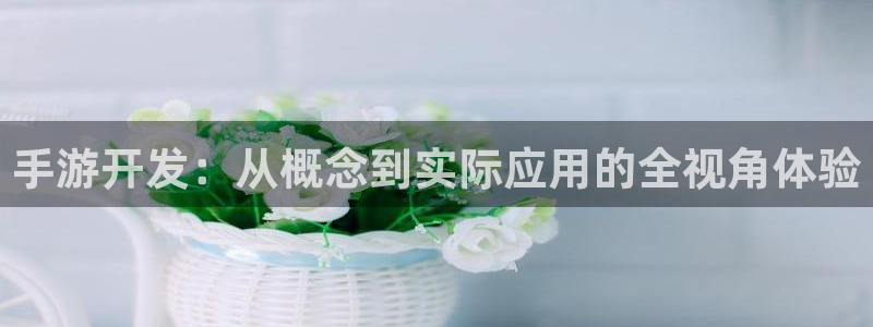庄闲游戏(官方)官方网站：手游开发：从概念到实际应用的全视角