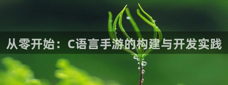 庄闲稳赢的公式方法：从零开始：C语言手游的构建与开发实践