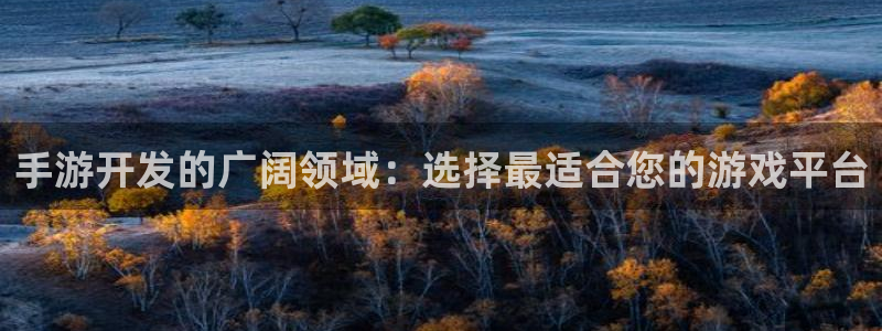 庄闲和玩法说明：手游开发的广阔领域：选择最适合您的游戏平台