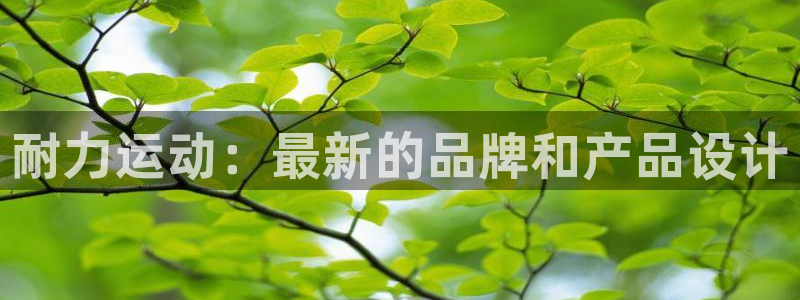 三亿体育