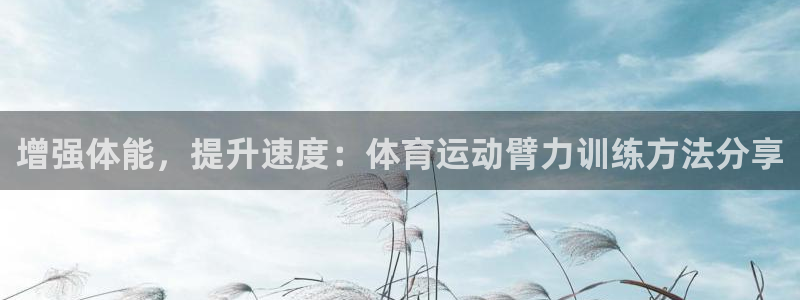 三亿体育网页版