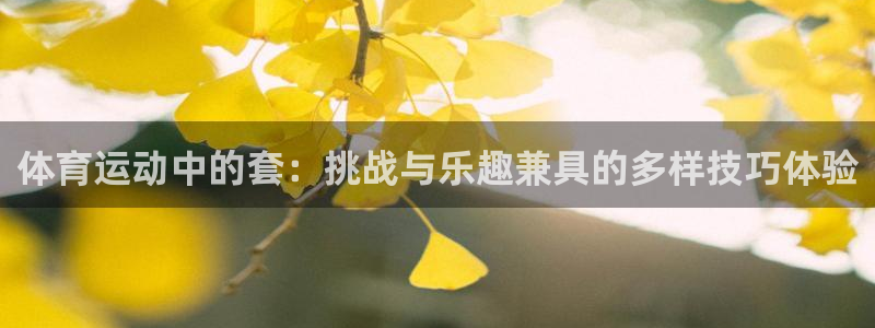 三亿体育网