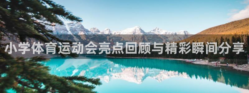 三亿体育登录