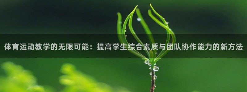 三亿体育网页版