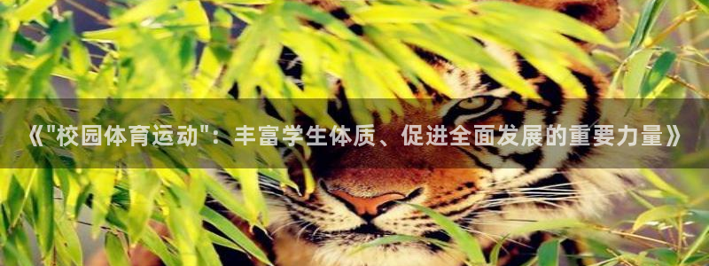 三亿体育登录