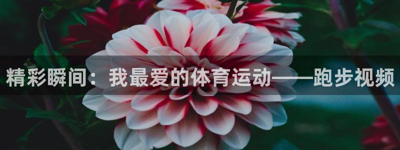 三亿体育网页版