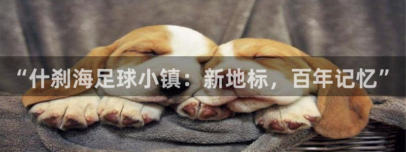 三亿体育网页版