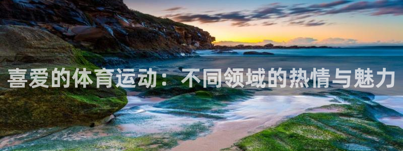 三亿体育网页版