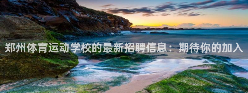 三亿体育网