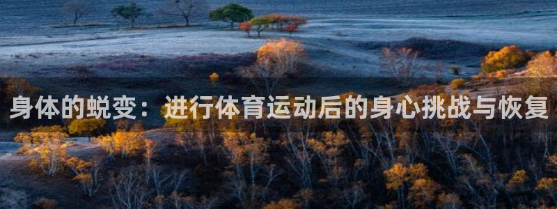 三亿体育网页版
